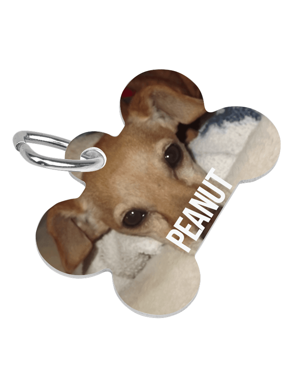 Custom Printed Dog Bone Pet Tag/Ring - Lee's Treasure Chest