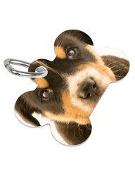 Custom Printed Dog Bone Pet Tag/Ring - Lee's Treasure Chest