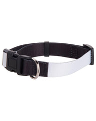 Custom Printed Dog Collar - Lee's Treasure Chest