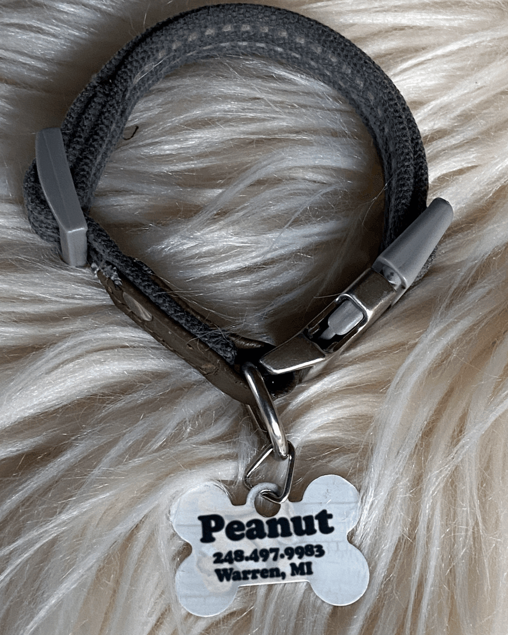 Custom Printed Dog Bone Pet Tag/Ring - Lee's Treasure Chest 