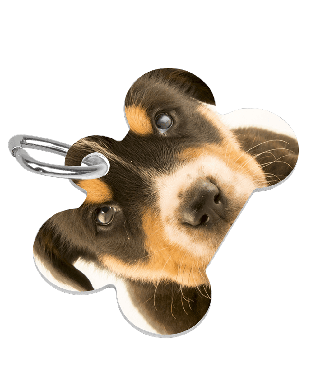 Custom Printed Dog Bone Pet Tag/Ring - Lee's Treasure Chest 