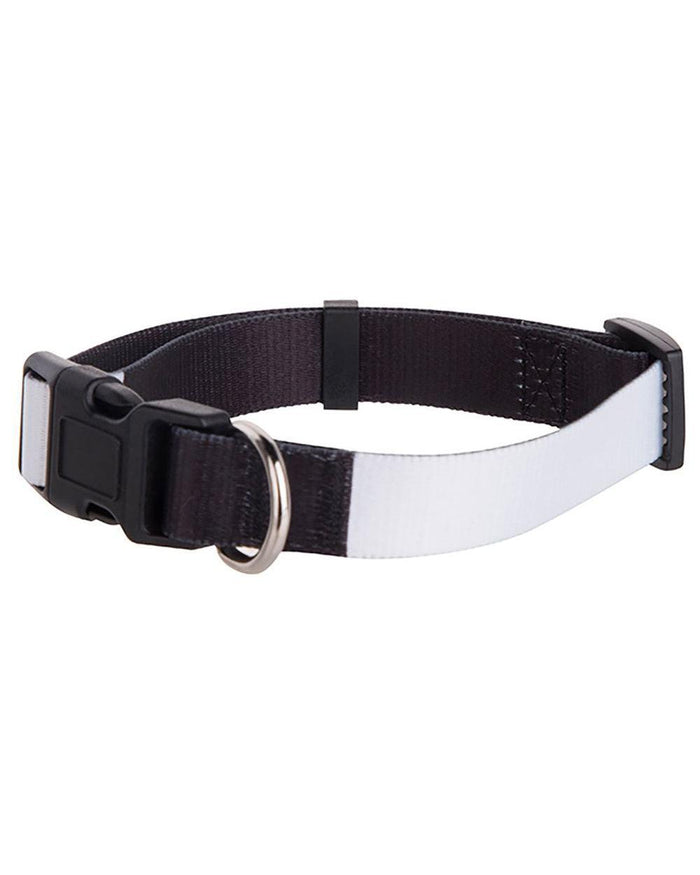 Custom Printed Dog Collar - Lee's Treasure Chest 